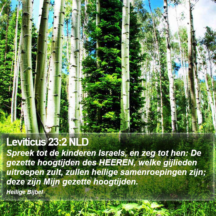 Leviticus 23:2 NLD Bible Study