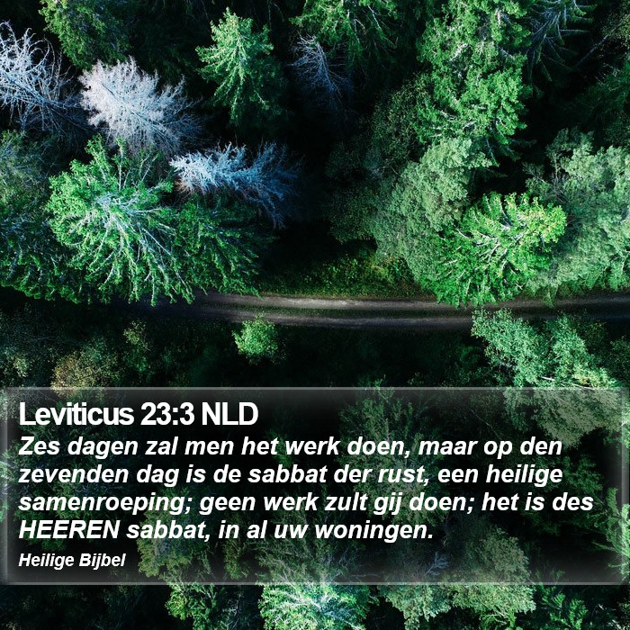 Leviticus 23:3 NLD Bible Study