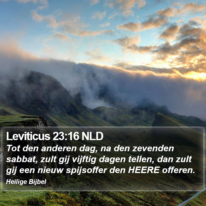 Leviticus 23:16 NLD Bible Study