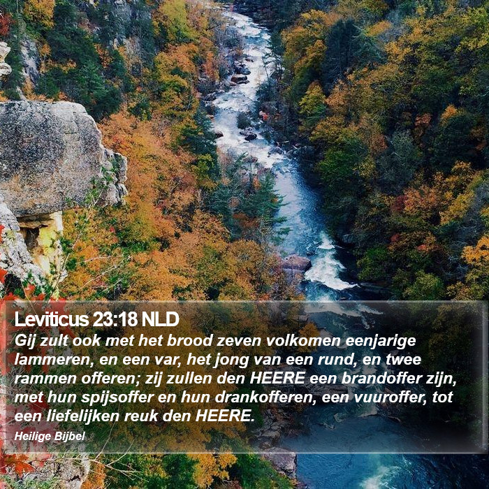 Leviticus 23:18 NLD Bible Study
