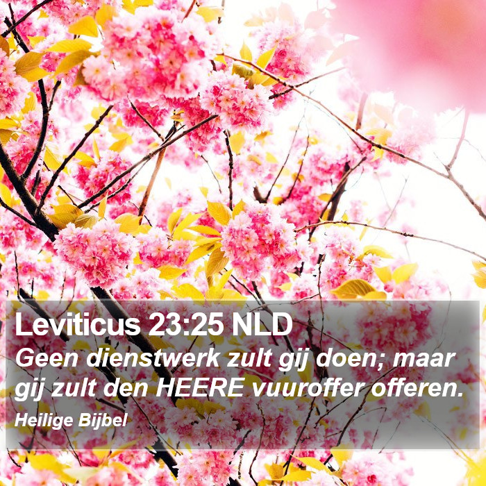 Leviticus 23:25 NLD Bible Study