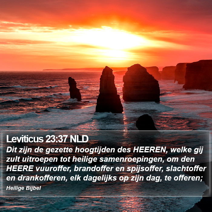 Leviticus 23:37 NLD Bible Study