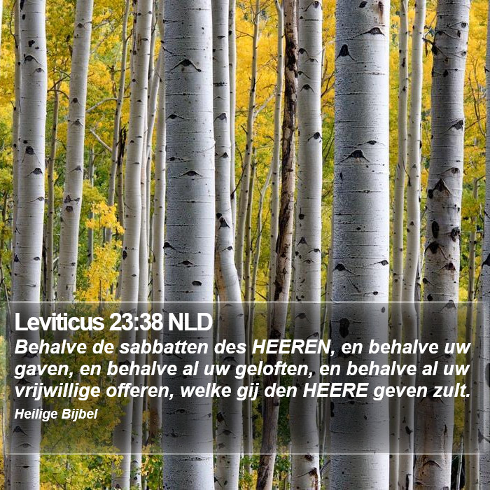 Leviticus 23:38 NLD Bible Study