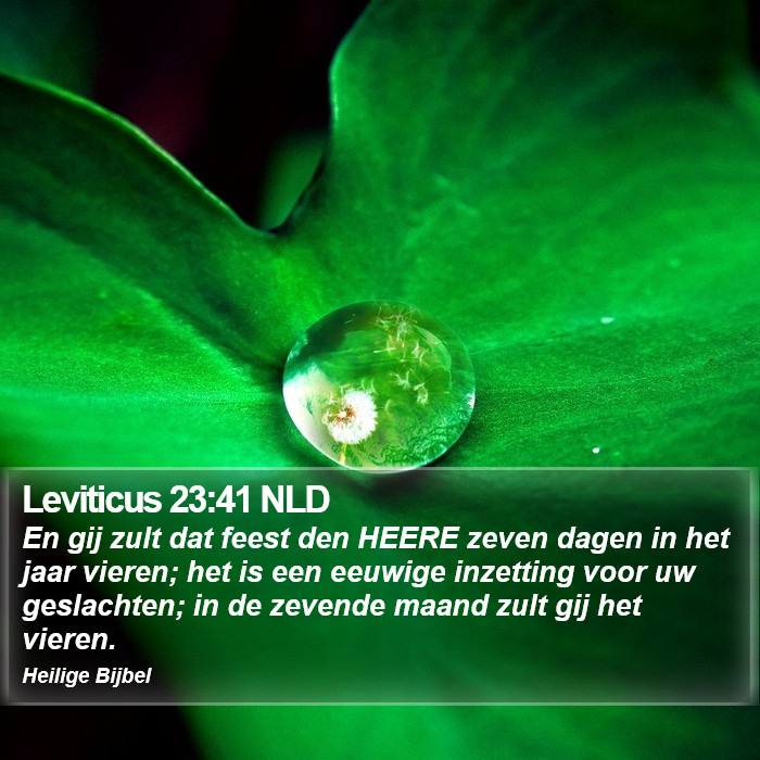 Leviticus 23:41 NLD Bible Study