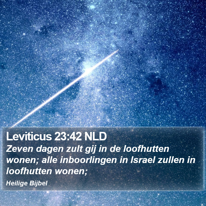 Leviticus 23:42 NLD Bible Study