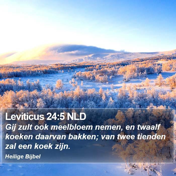 Leviticus 24:5 NLD Bible Study
