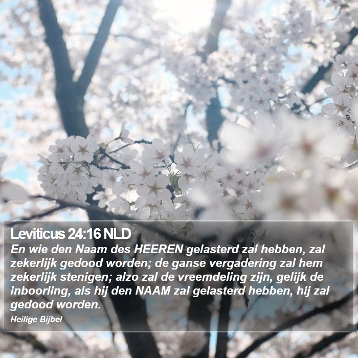 Leviticus 24:16 NLD Bible Study