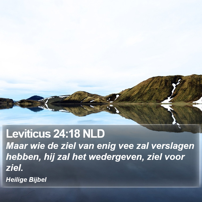 Leviticus 24:18 NLD Bible Study