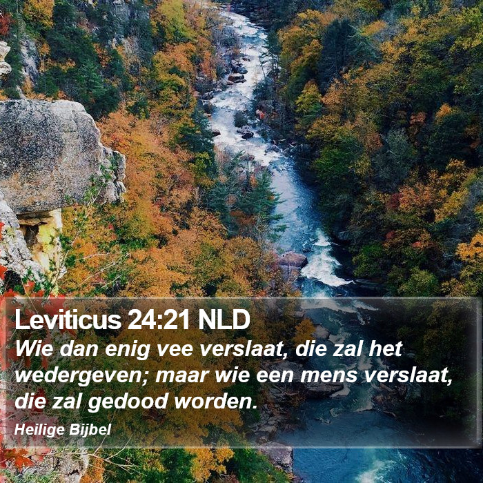 Leviticus 24:21 NLD Bible Study