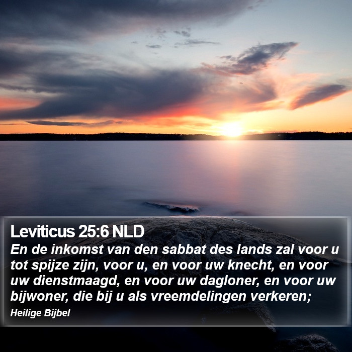 Leviticus 25:6 NLD Bible Study