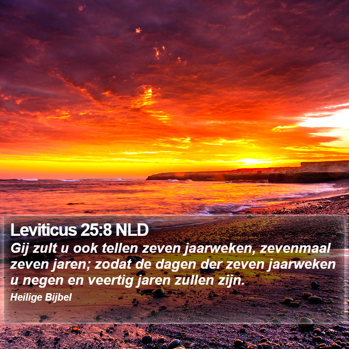 Leviticus 25:8 NLD Bible Study
