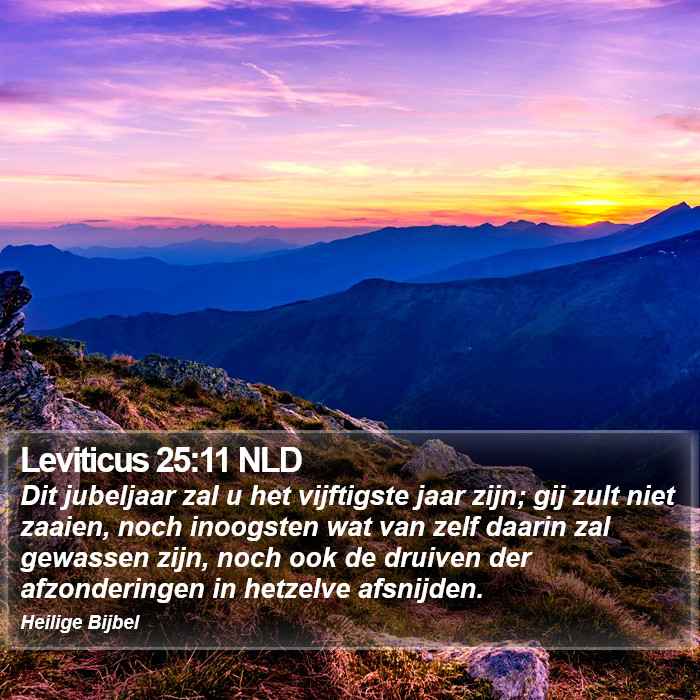 Leviticus 25:11 NLD Bible Study