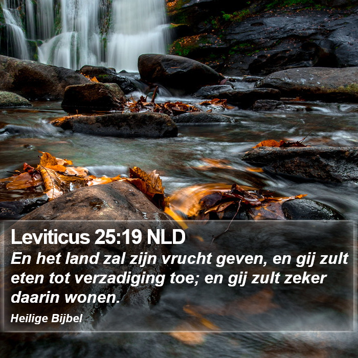 Leviticus 25:19 NLD Bible Study