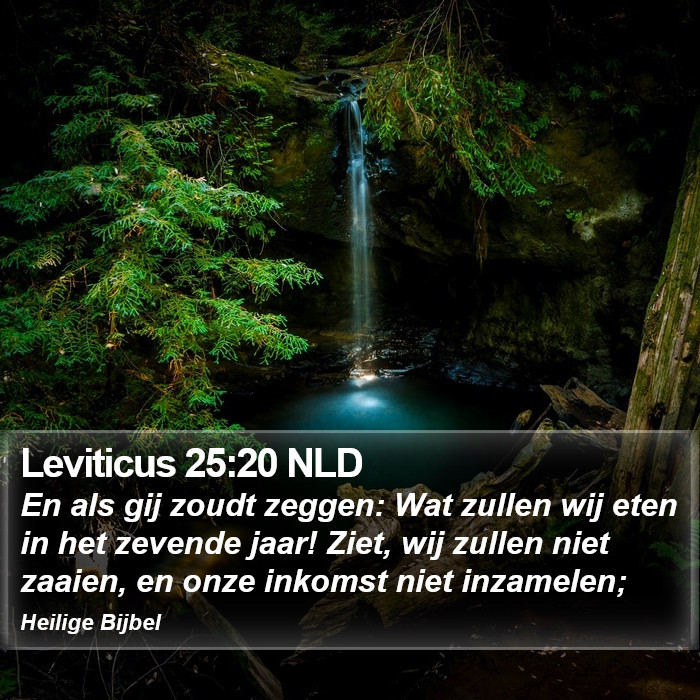 Leviticus 25:20 NLD Bible Study