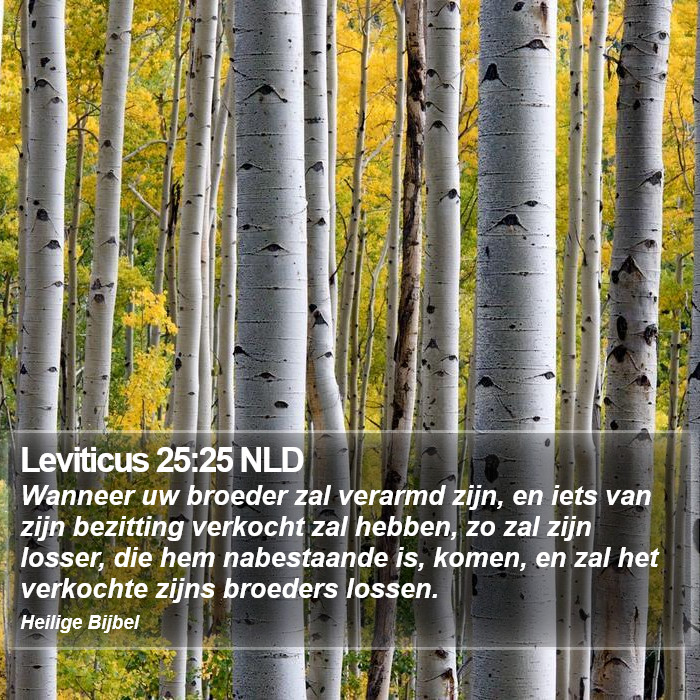 Leviticus 25:25 NLD Bible Study