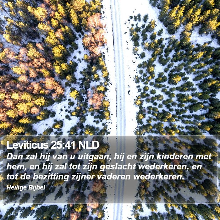 Leviticus 25:41 NLD Bible Study
