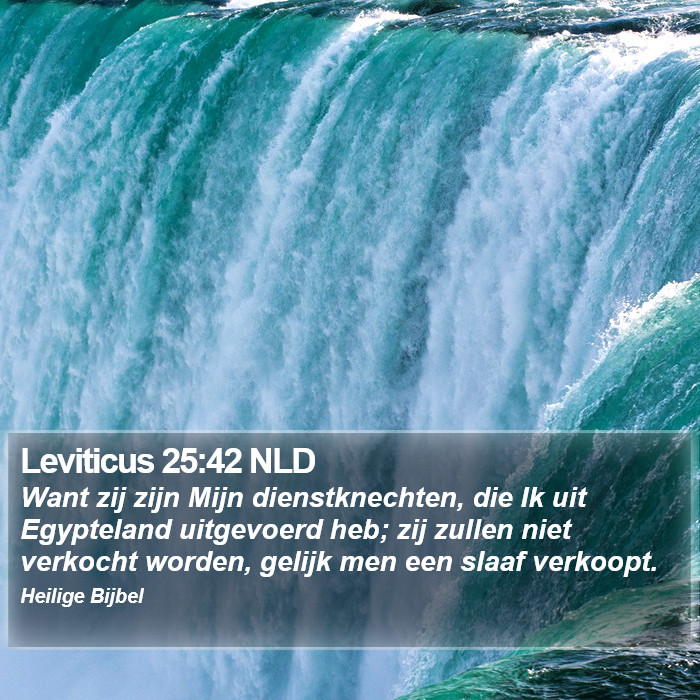 Leviticus 25:42 NLD Bible Study