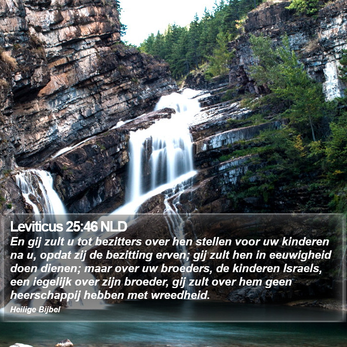 Leviticus 25:46 NLD Bible Study