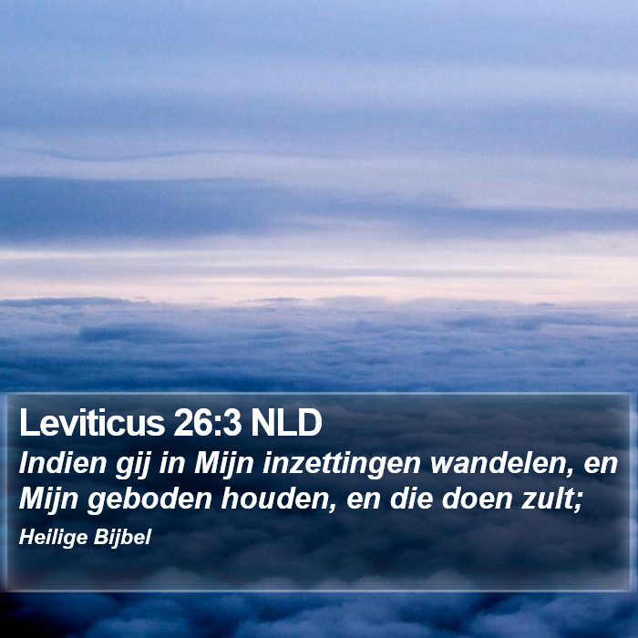Leviticus 26:3 NLD Bible Study