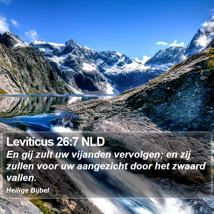 Leviticus 26:7 NLD Bible Study