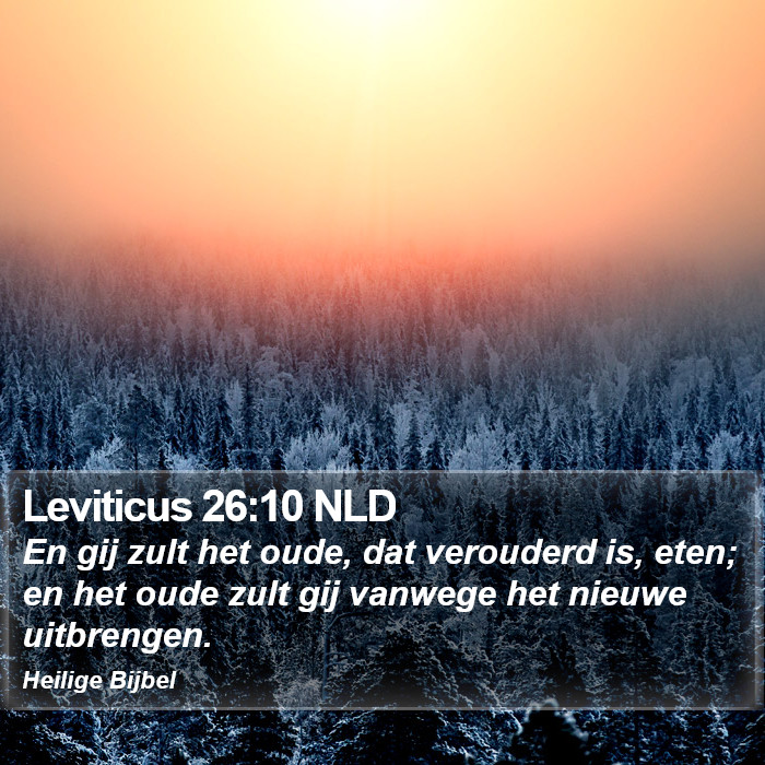 Leviticus 26:10 NLD Bible Study