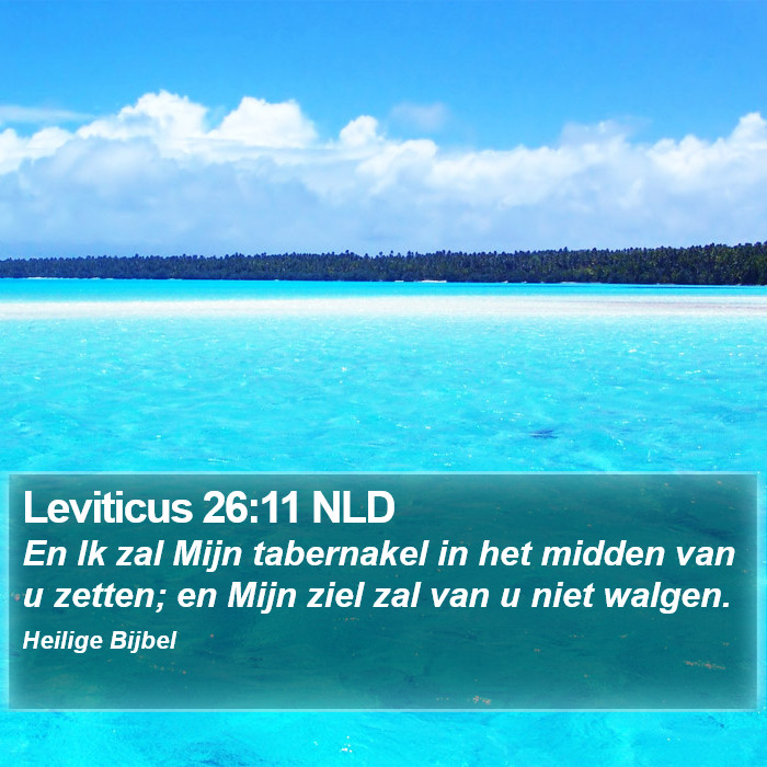 Leviticus 26:11 NLD Bible Study