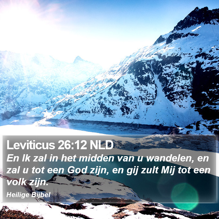 Leviticus 26:12 NLD Bible Study