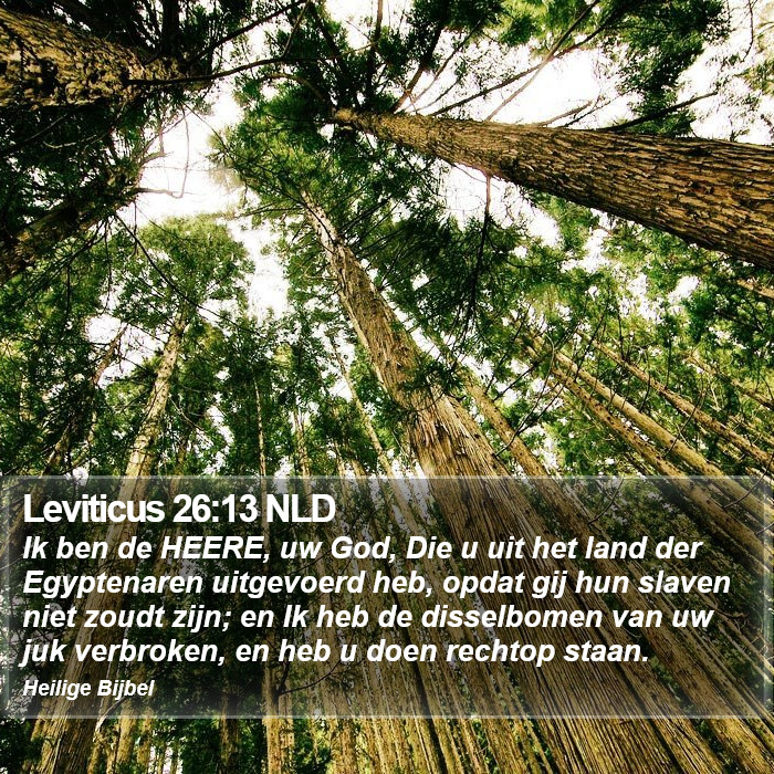 Leviticus 26:13 NLD Bible Study