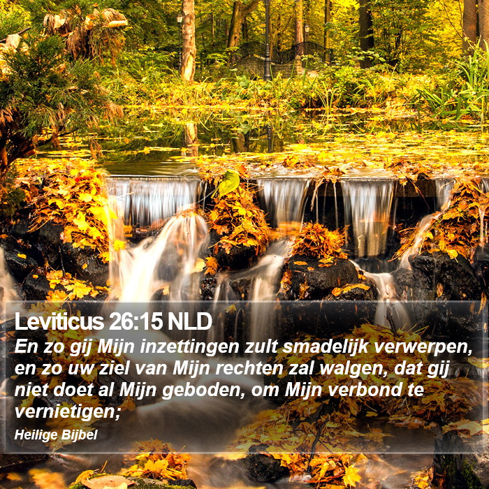 Leviticus 26:15 NLD Bible Study