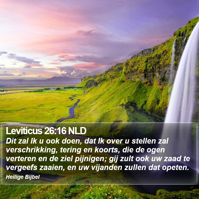 Leviticus 26:16 NLD Bible Study