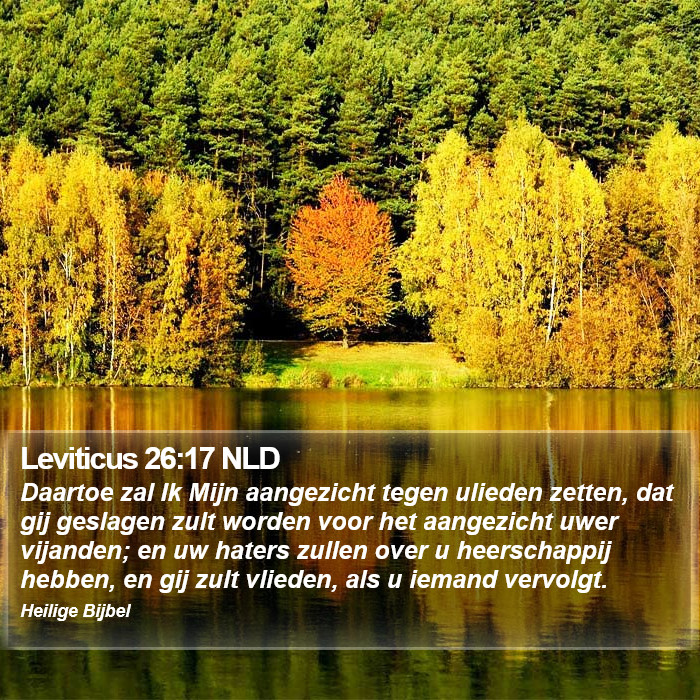 Leviticus 26:17 NLD Bible Study