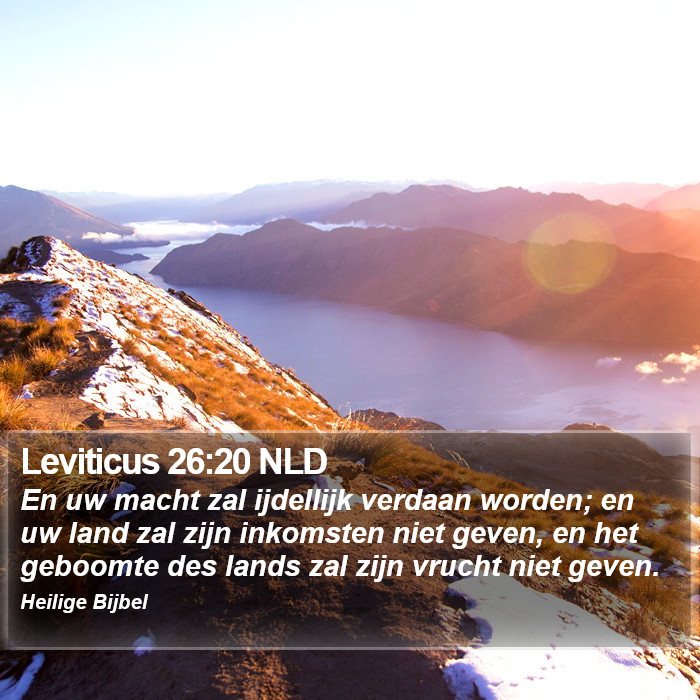 Leviticus 26:20 NLD Bible Study