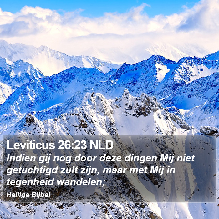 Leviticus 26:23 NLD Bible Study