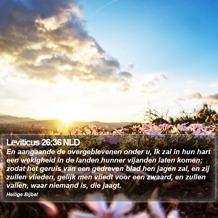 Leviticus 26:36 NLD Bible Study