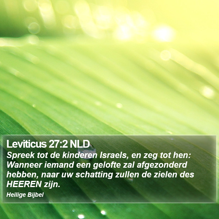 Leviticus 27:2 NLD Bible Study