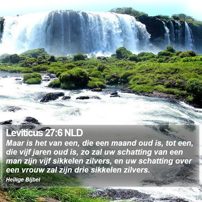 Leviticus 27:6 NLD Bible Study