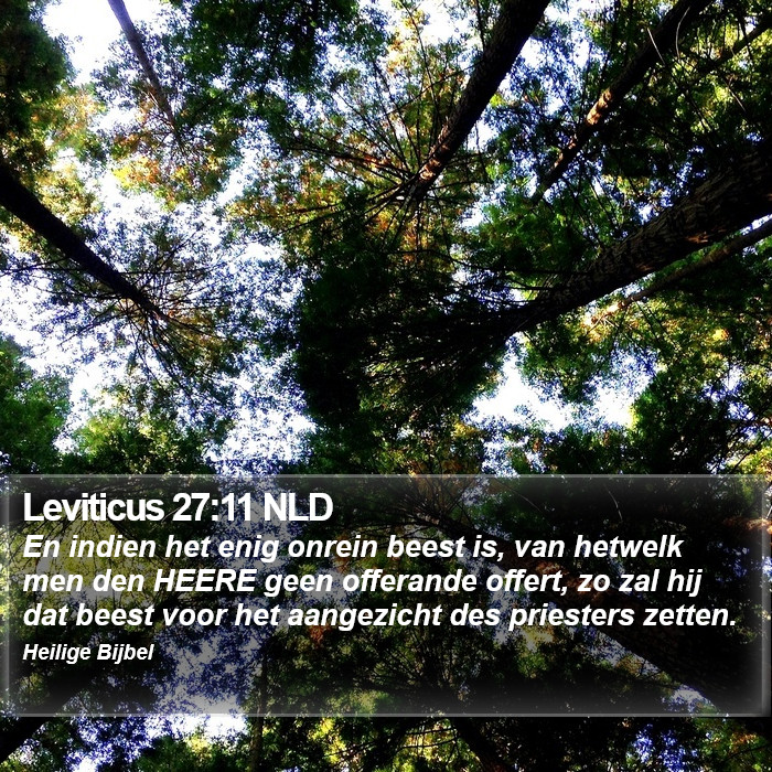 Leviticus 27:11 NLD Bible Study