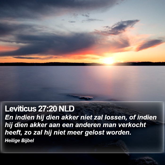 Leviticus 27:20 NLD Bible Study