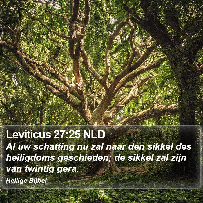 Leviticus 27:25 NLD Bible Study