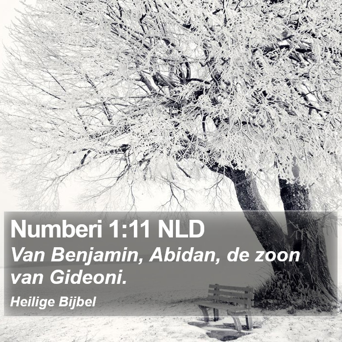 Numberi 1:11 NLD Bible Study