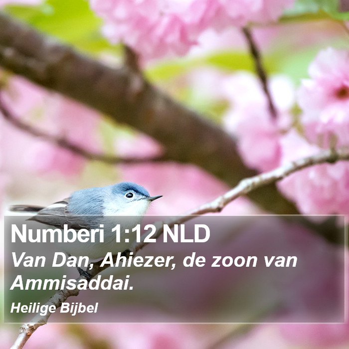 Numberi 1:12 NLD Bible Study