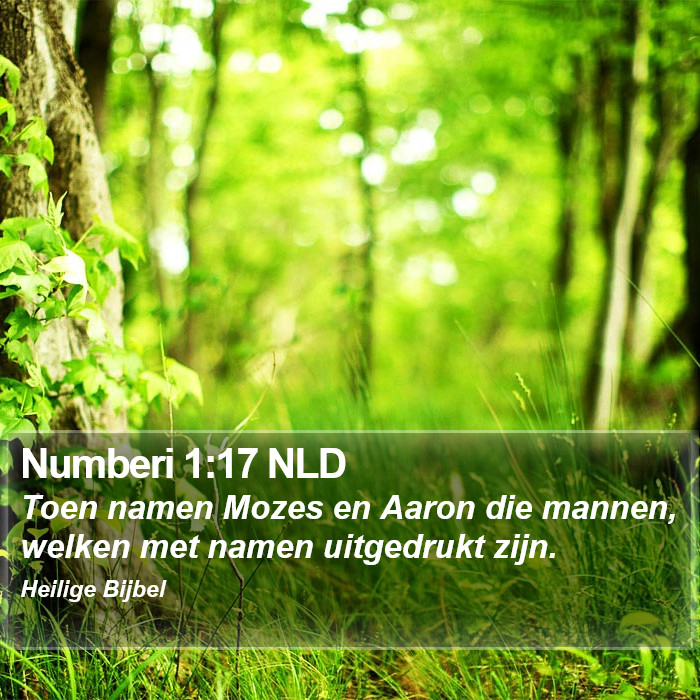 Numberi 1:17 NLD Bible Study