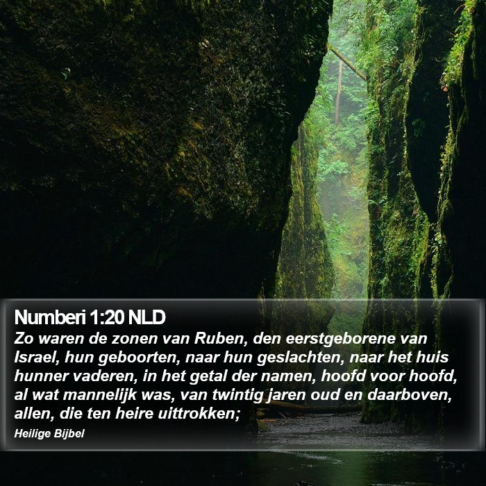 Numberi 1:20 NLD Bible Study