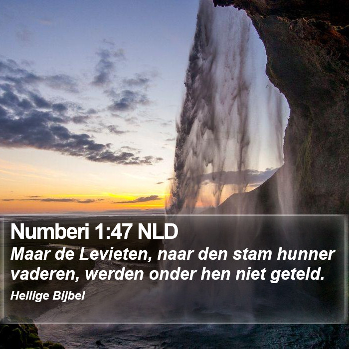 Numberi 1:47 NLD Bible Study