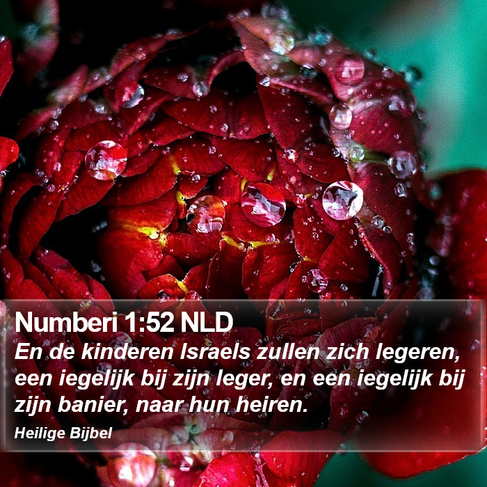 Numberi 1:52 NLD Bible Study