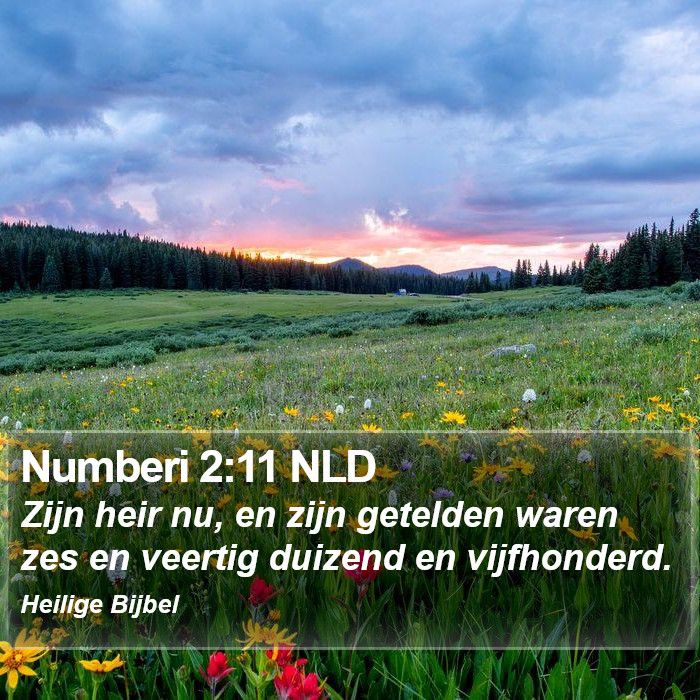 Numberi 2:11 NLD Bible Study