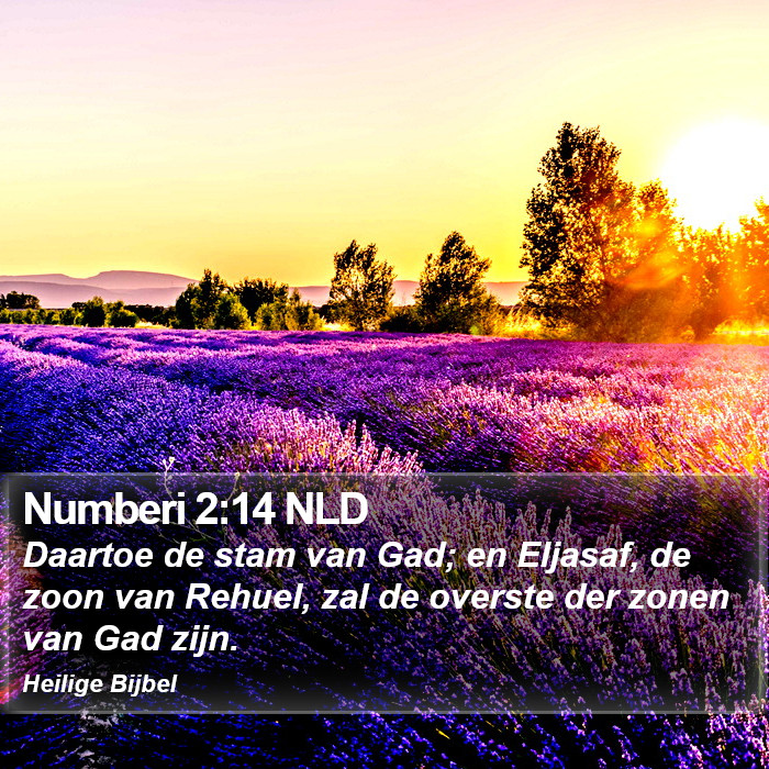 Numberi 2:14 NLD Bible Study