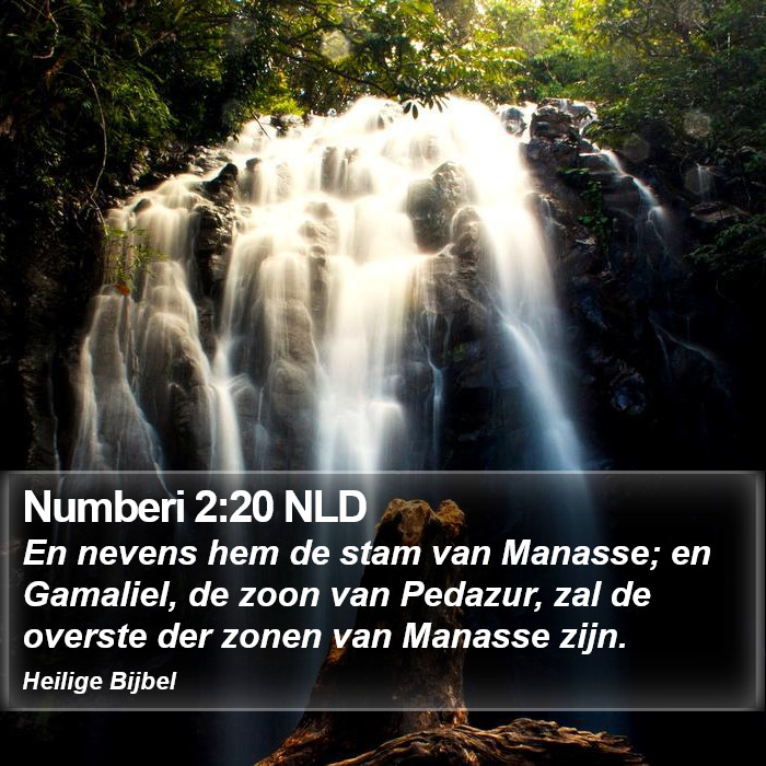 Numberi 2:20 NLD Bible Study