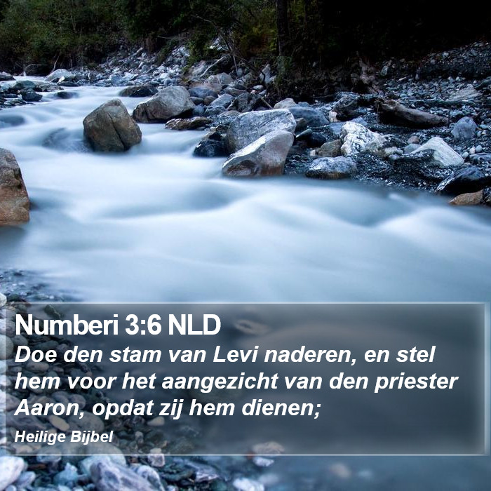 Numberi 3:6 NLD Bible Study
