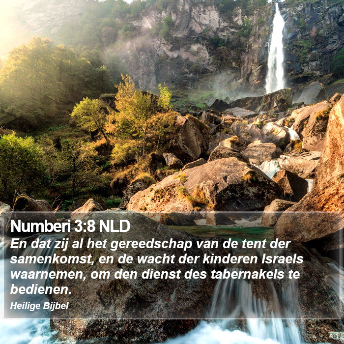 Numberi 3:8 NLD Bible Study